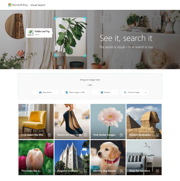 busqueda inversa de imagenes Bing Visual Search